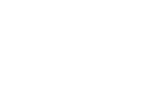 Microsoft Partner